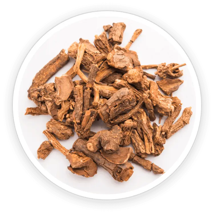Quietum Plus Sarsaparilla Root and Asparagus ingredients